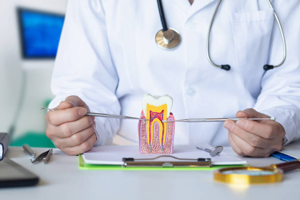 Best Emergency Dentist for Knocked-Out Tooth in Sardis, MS
